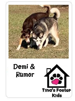 Foster kids Demi & Rumor!